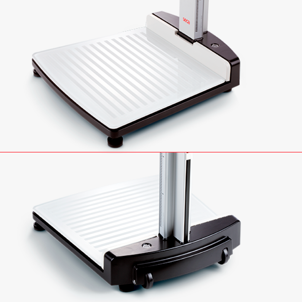 Ficha técnica SECA 284