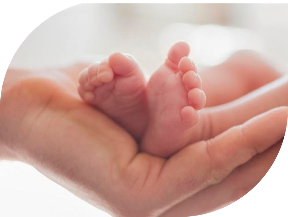 Salud Materna y Perinatal