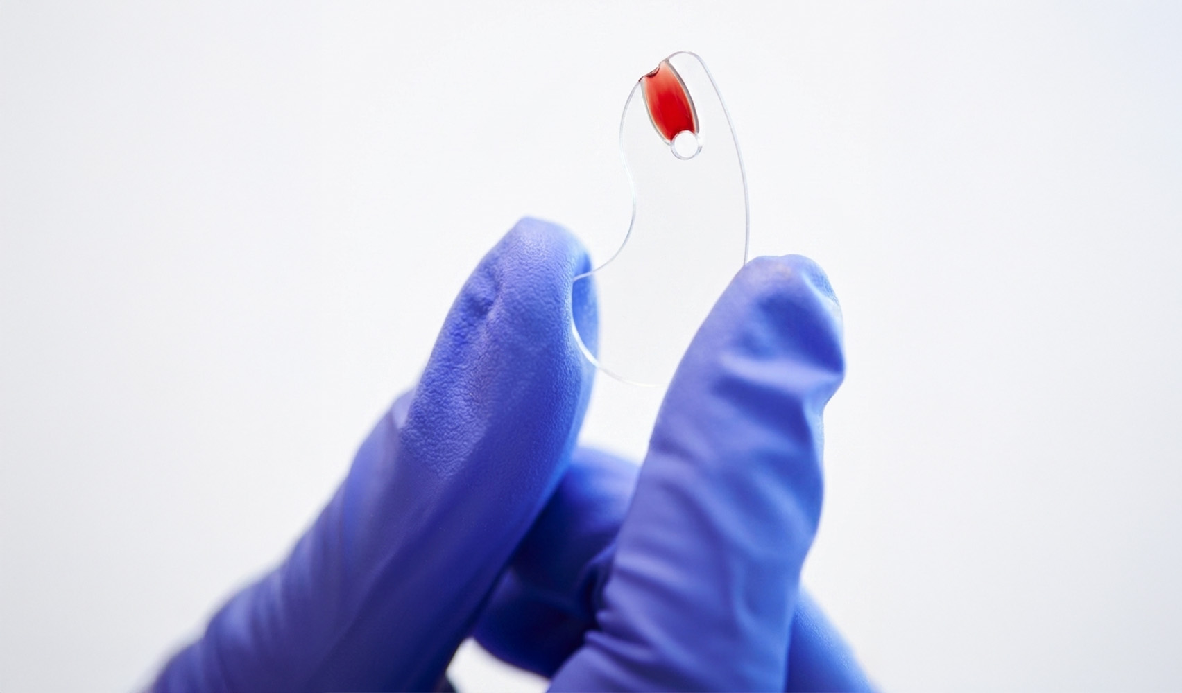 [NOMBRE_PRODUCTO] detalle